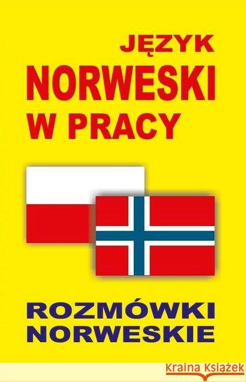 Język norweski w pracy. Rozmówki norweskie  9788364051487 Level Trading