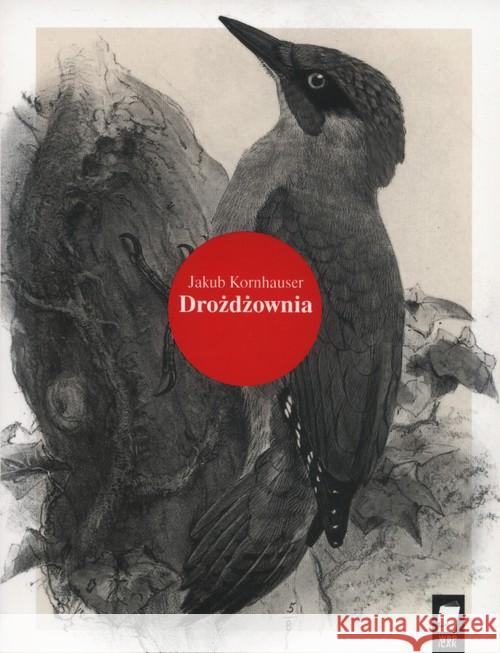 Drożdżownia Kornhauser Jakub 9788364504433 