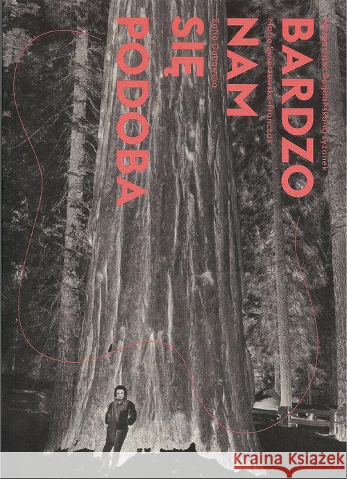 Bardzo nam się podoba  9788364714191 Zachęta Narodowa Galeria Sztuki