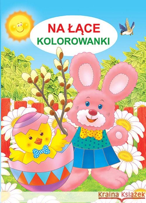 Kolorowanka - Na łące Żukowski Jarosław 9788364859496 Martel