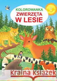 Kolorowanka. Zwierzęta w lesie Żukowski Jarosław 9788365222015 Martel