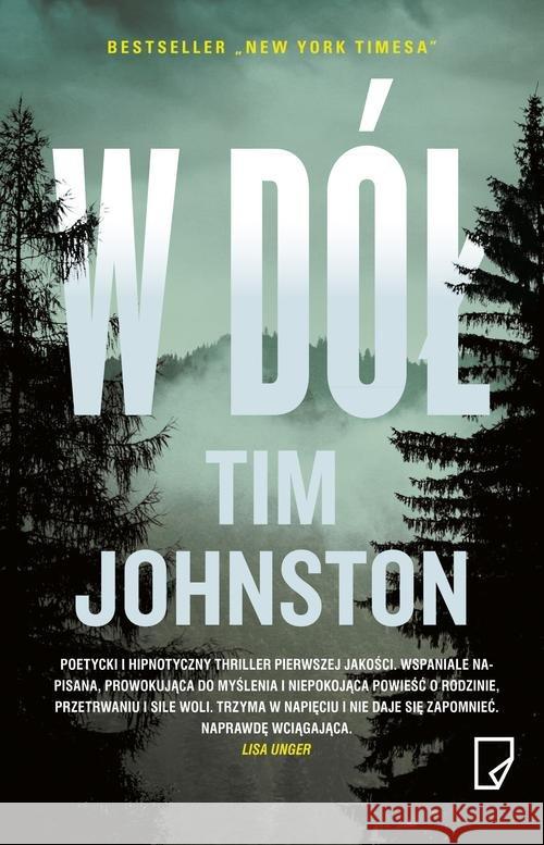 W dół Johnston Tim 9788365282460 Marginesy