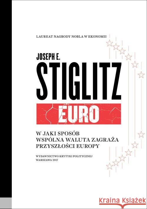 Euro Stiglitz Joseph 9788365369949