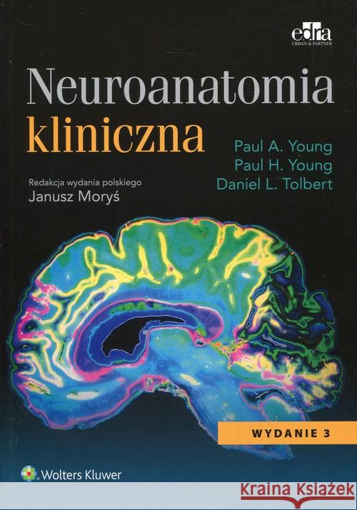 Neuroanatomia kliniczna Young Paul A. Young Paul H. Tolbert Daniel L. 9788365373403 Edra Urban & Partner