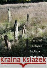 Zagłada cmentarzy żydowskich Krzysztof Bielawski 9788365424730