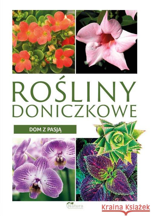 Dom z pasją. Rośliny doniczkowe Ulanowski Krzysztof 9788365458681 Books