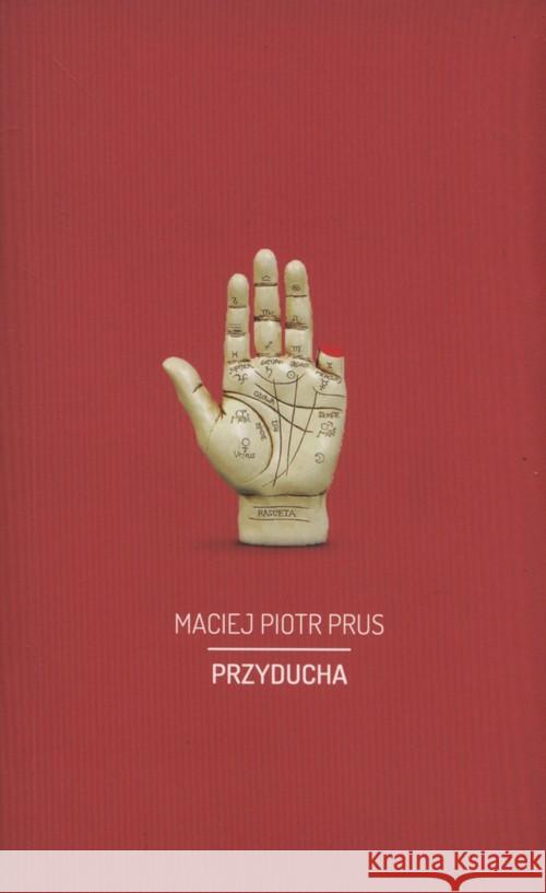 Przyducha Prus Maciej Piotr 9788365739131 ha!art