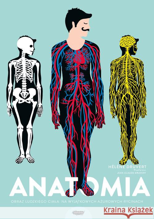 Anatomia Obraz ludzkiego ciała na wyjątkowych ażurowych rycinach Druvert Helene 9788365796103 Mamania