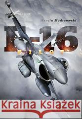 Pilot F-16. Historia dowódcy 10 Eskadry Lotnictwa Marcin Modrzewski 9788365904867