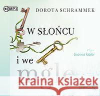 W słońcu i we mgle audiobook Schrammek Dorota 9788365983381