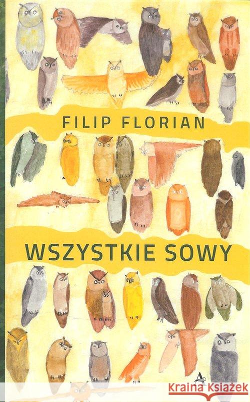 Wszystkie sowy Florian Filip 9788365989031 Amaltea