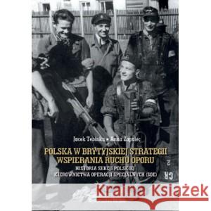 Polska w brytyjskiej strategii wspierania ruchu.. TEBINKA JACEK, ZAPALEC ANNA 9788366018945