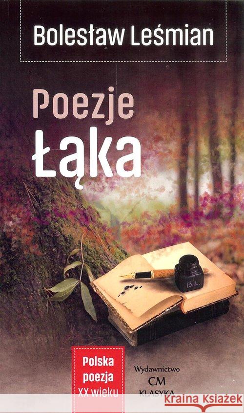 Polska poezja XXw. Poezje. Łąka Leśmian Bolesław 9788366022454