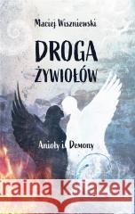 Droga Żywiołów. Anioły i Demony Maciej Wiszniewski 9788366034778