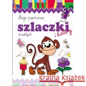 Moje pierwsze szlaczki i kolory Wojciech Weiner 9788366164239