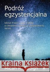 Podróż egzystencjalna Micah R.Sadigh 9788366200555