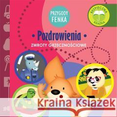 Przygody Fenka. Pozdrowienia Gałka Dominika 9788366235595 Wydawnictwo Edukacyjne Sobik