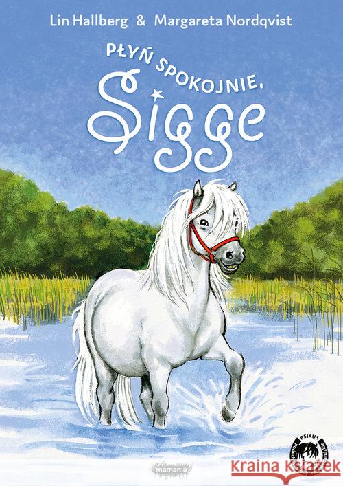 Płyń spokojnie, Sigge Hallberg Lin 9788366329034