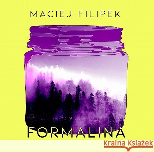Formalina Filipek Maciej 9788366359178