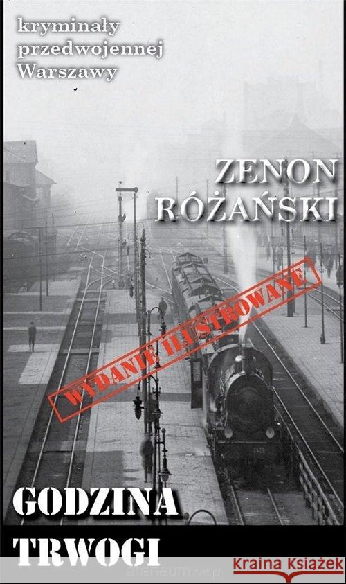 Kryminały przedwojennej W-wy. Godzina Trwogi Różański Zenon 9788366371156