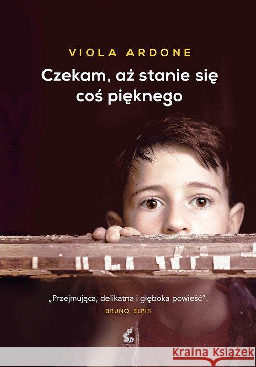 Czekam, aż stanie się coś pięknego Ardone Viola 9788366512665