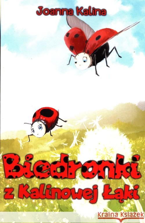Biedronki z Kalinowej Łąki Joanna Kalina 9788366533066