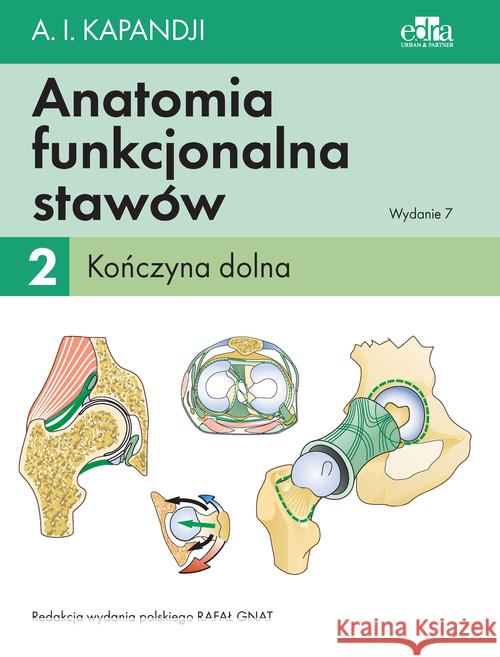 Anatomia funkcjonalna stawów Tom 2 Kończyna dolna Kapandji I.A. 9788366548411 Edra Urban & Partner
