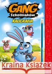 Gang szkolniaków. Kaligrafia Wydawnictwo Niko 9788366565753