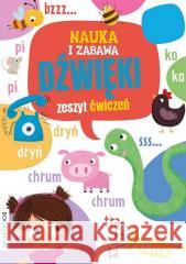 Nauka i zabawa. Dzwięki. Zeszyt ćwiczeń praca zbiorowa 9788366651401