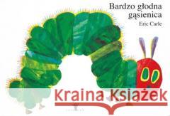 Bardzo głodna gąsienica XL w.2023 Eric Carle 9788366749450