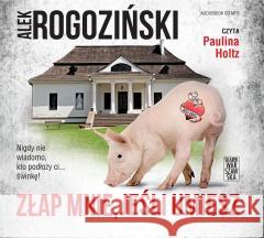 Złap mnie, jeśli umiesz audiobook Alek Rogoziński 9788366939424