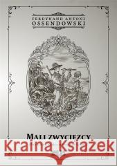 Mali zwycięzcy (Przygody dzieci w Pustyni Szamo) Ferdynand Antoni Ossendowski 9788367068475