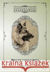 Wacek i jego pies Ferdynand Antoni Ossendowski 9788367068826