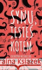 Synu, jesteś kotem Katarzyna Michalczak 9788367121200
