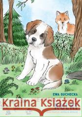 Nie-pieskie życie Kulki / A non-dogs life of Kulka SUCHECKA EWA, BERLIK NATALIA 9788367139793