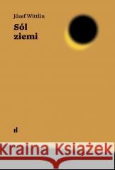 Sól ziemi Józef Wittlin 9788367170970