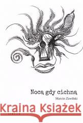 Nocą, gdy cichną Marcin Zawilski 9788367171595