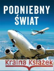 Podniebny świat Dawid Lasociński 9788367178457