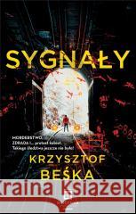 Sygnały Krzysztof Beśka 9788367204705
