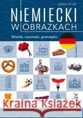 Niemiecki w obrazkach. Słówka, rozmówki, gramatyka Magdalena Piotrowska 9788367212922