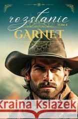 Garnet tom 4: Rozstanie Karolina Wojciak 9788367308472