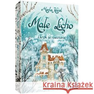 Małe Licho i krok w nieznane KISIEL MARTA 9788367341370