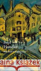 Mój dzień w innym kraju Peter Handke 9788367369121