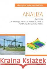 Analiza czynników determinujących rozpływ prądu... Jakub Gajdzica, Wiesław Nowak, Rafał Tarko 9788367427968