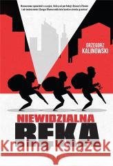 Niewidzialna Ręka Grzegorz Kalinowski 9788367654739