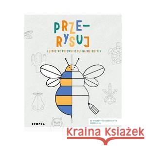 Prze-rysuj. Lustrzane rysowanie dla najmłodszych JESUS JOANNA 9788367674096