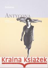 Antygona Sofokles 9788367682022