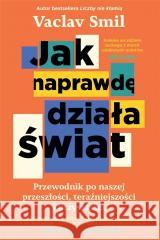 Jak naprawdę działa świat Vaclav Smil 9788367710923