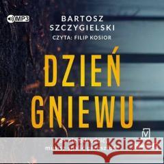 Dzień gniewu audiobook Bartosz Szczygielski 9788367815246