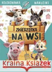 Zwierzątka na wsi z naklejkami Katarzyna Salamon 9788367900041